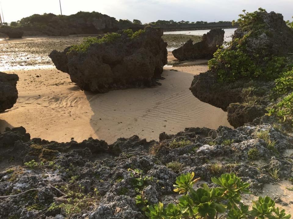 Ken'S Beachfront Cafe & Lodge, Bl2, Oceanfront And Free Canoe Rental Onna Exterior photo